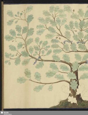 3: Genealogische Tafel der Nachfahren des Hans Schnorr (1559-1637) - Stammbaum mit Zweigen und Blättern - Mscr.Dresd.w,3