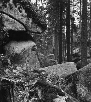 Partie im Fichtelgebirge
