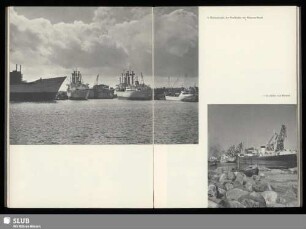 6 Warnemünde, der Werfthaften der Warnow-Werft