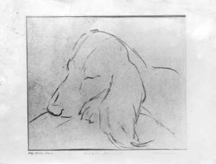 Ruhender Dachshund. Kohlezeichnung (1948; E. Richter). Dresden-Striesen, Borsbergstraße 11, Atelier der Künstlerin