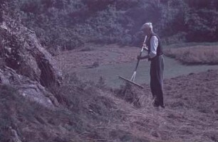 Bauer beim Heuwenden