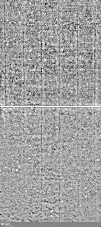 Lilienschild + IESV / LW = Bd.1, S.119/120+167/168