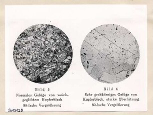 Mikroaufn. aus Mausfeld S. 16 (Repro), Bild 2; Foto, 1957