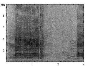 Hausgans | Anser anser f. domestica - Ruf