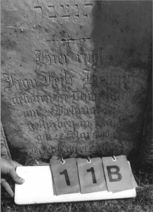 Grabstein 11 (Index: 100113791) Zustand: gut Maße HxBxT: 147x62x26 cm Beschreibung: Stele mit verziertem Spitzgiebel, Eierfries um Textteil, Zackenfries auf Giebel, floraler Aufsatz auf Giebel, vertiefter Textteil: Grabstein 11B