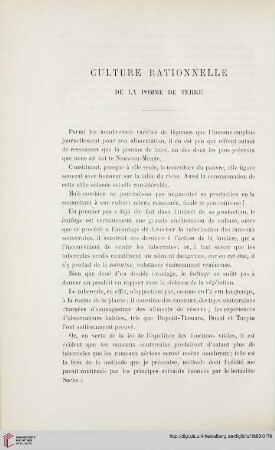 Culture rationelle de la pomme de terre