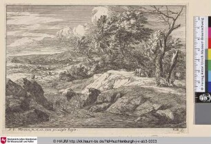 [Landschaft mit Rindern; Landscape with cows]