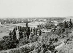 Dresden-Loschwitz. Blick vom Elbhang über die Winzerstraße und die Elbe mit der Loschwitzer Brücke ("Blaues Wunder") gegen Dresden-Blasewitz