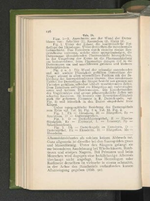 Tab. 19.