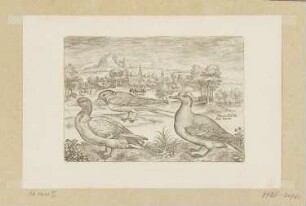Stockente, Ente und eine Schwalbe, Blatt 8 der Folge "Vögel"