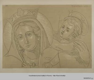 Kopf einer Madonna mit Kind (nach einem Bild von Timoteo Viti)