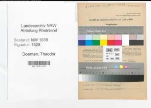 Entnazifizierung Theodor Doernen , geb. 07.02.1886 (Bergaufsichtsdienst)