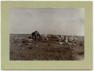 Ruine auf der Hochebene zwischen Nebo und Madaba, 'Ali mit meinem Maultier.