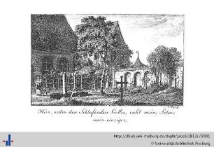 1813: Iris: ein Taschenbuch für