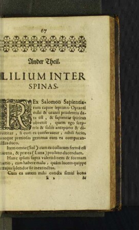 Ander Theil. Lilium Inter Spinas.