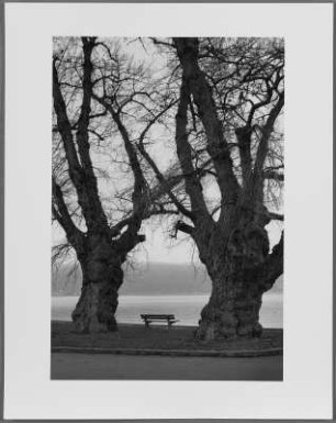 Reichenau / Bodensee