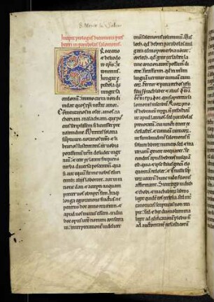 Zierinitiale (Hieronymus-Prolog): C(romatio)
