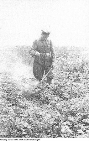 1. Landwirtschaftliche Leistungsschau, 8. Juli 1950