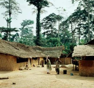 Kade. Alltagsleben in Hütten mit Palmblattdächern (Ghana-Reise 1959)