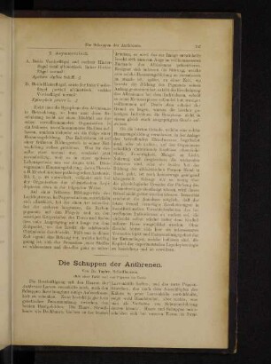 Die Schuppen der Anthrenen.