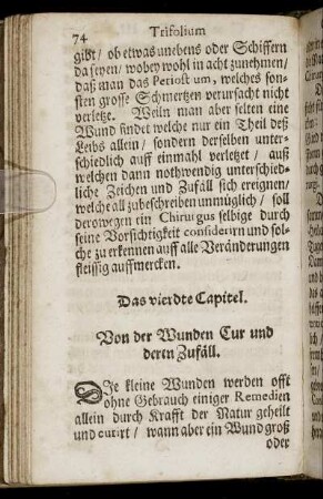 Das vierdte Capitel. Von der Wunden Cur und deren Zufäll