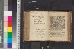 Flach, Jakob; Blatt 168,4