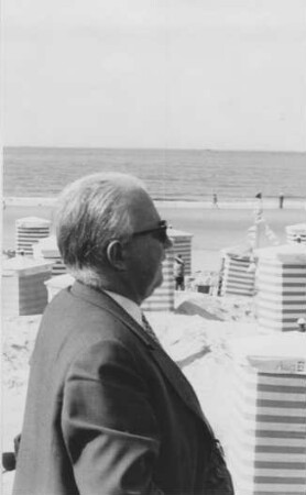 Dr. Seebohm, Verkehrsminister