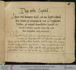 Teil III: Wolf von Breitenbach/Pfalzgraf Ludwig VI., Medizinische Rezeptsammlung (Fragment)