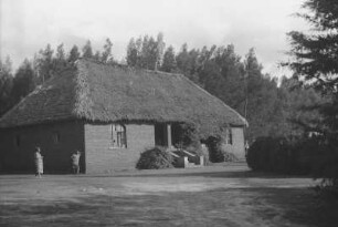 Haus Egger in Dabaga : Strohgedecktes Steinhaus mit zwei Bewohnern.