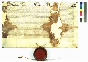 Kaiser Matthias bestätigt das Privileg Kaiser Friedrichs 1471, die Acht und Oberacht am kaiserlichen Hofgericht betreffend.