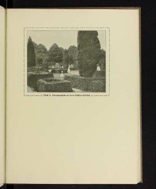 Lebensbaumhecke auf einem ländlichen Friedhof