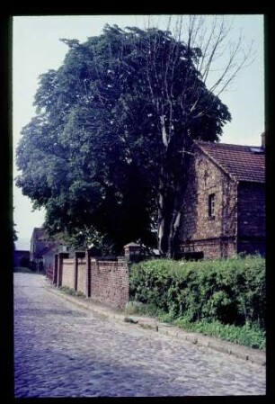 Lübars 2.7.66.