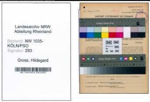 Entnazifizierung Hildegard Gross , geb. 15.01.1904 (Angestellte)