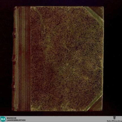 Commentationem historico-literariam de Luthero omnia in omnibus post haec edendam indicat et de scriptoribus Lutheri vitam illustrantibus fusius in Limine tractat propensum lectoris animum sibi exorans auctor M. I. A. W[immer]
