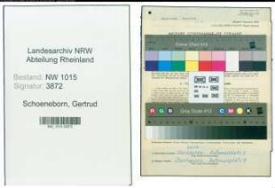 Entnazifizierung Gertrud Schoeneborn , geb. 08.10.1886 (Lehrerin)