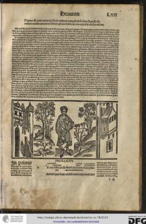 Declaratio figurae.