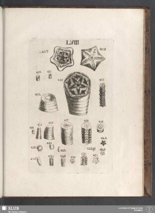LVIII