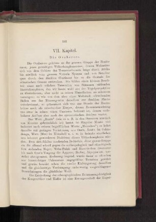 VII. Kapitel.