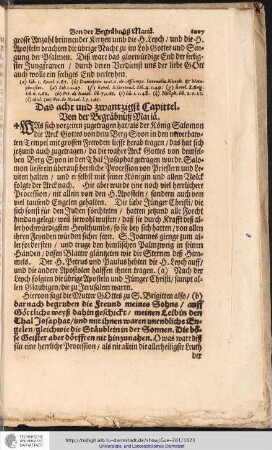 Das acht und zwantzigst Capittel