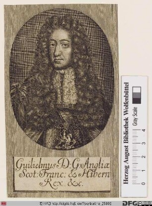 Bildnis Wilhelm (William) III. von Oranien, 1689-1702 König von England u. Schottland