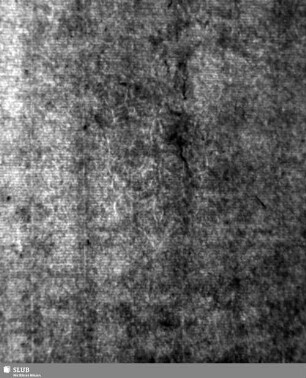 Lilienschild (gekrönt) / JER? = S.59/60