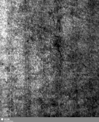 Lilienschild (gekrönt) / JER? = S.59/60