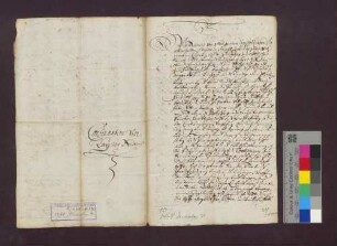Freiheitsbrief Kaiser Friedrichs III. für die Stadt Waldshut.