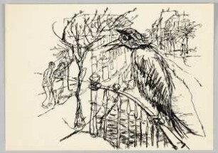 [Großer Vogel]