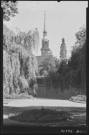 Radeberg. Stadtkirche