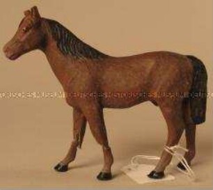 Pferd