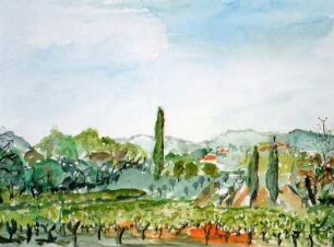 Carces-Weinberge