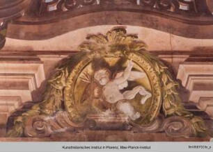 Kartuschen mit Putti : Amorette