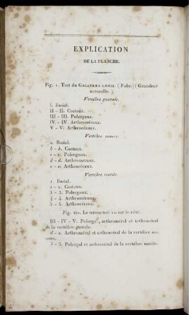 Explication De la Planche.
