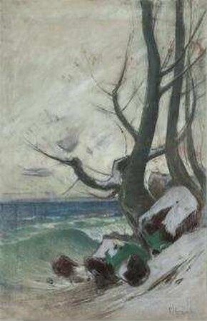 Schnee auf Rügen